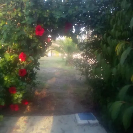 Traditional House Marivilla 度假居 *