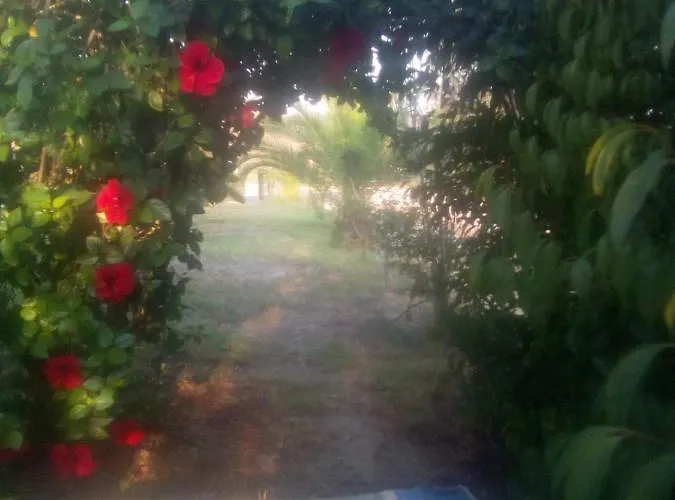 Traditional House Marivilla بيت للعطل *